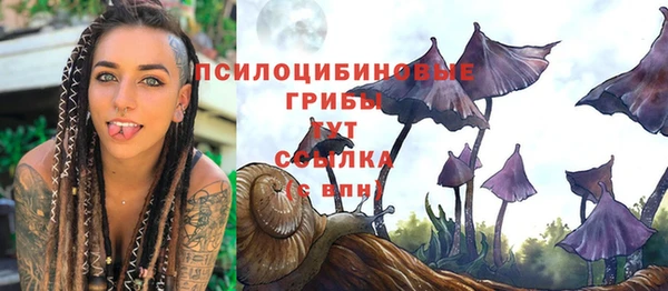 тгк Алзамай