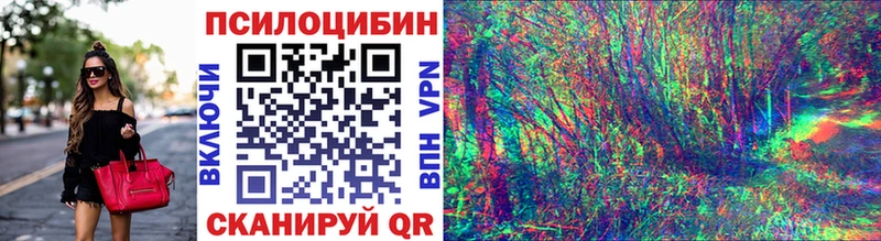 сколько стоит  Лысково  Псилоцибиновые грибы MAGIC MUSHROOMS 